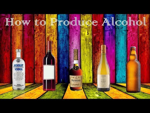 How to make ALCOHOL at Home in 5 MINUTES!