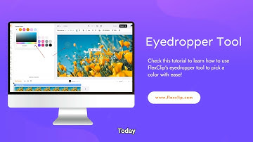 How to Use FlexClip