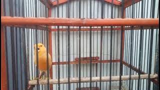 InShot 20251012 062117979