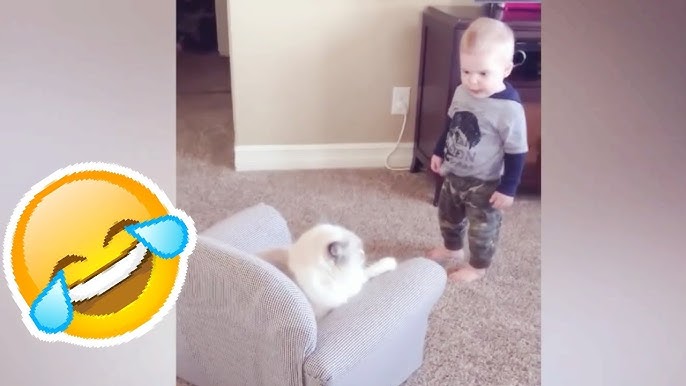 Jinsiy aloqa zvoni vido Yoqimli tranny porno hd