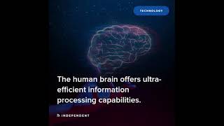 TECHNOLOGY: Scientists investigate the possibility of integrating live brain cells on computer chips