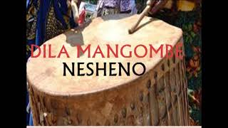 DILA MANG'OMBE NASHENO  BY MBASHA STUDIO 2021