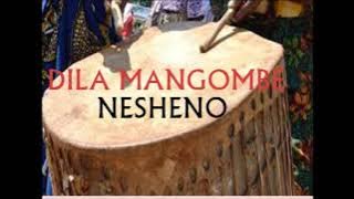 DILA MANG'OMBE NASHENO  BY MBASHA STUDIO 2021