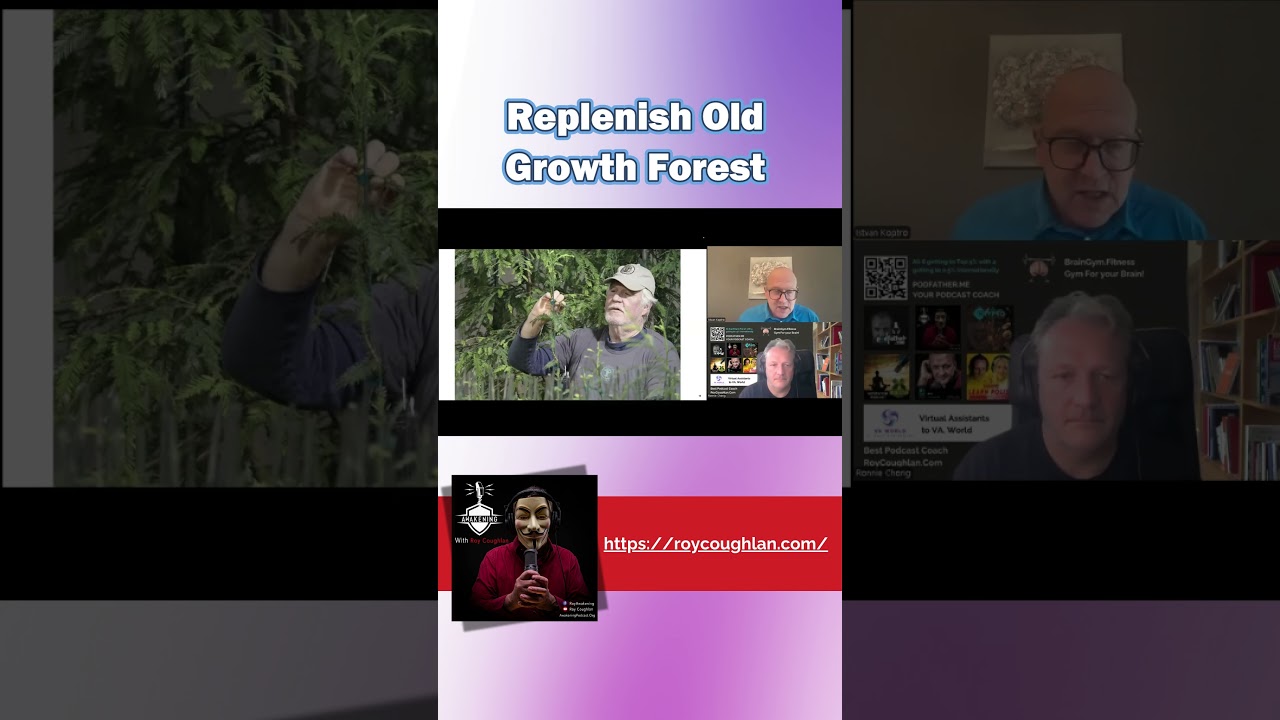 Replenish Old Growth Forest