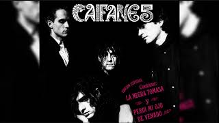 viento caifanes cover