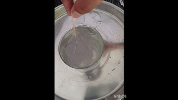 Surface tension experiment needle floating on water surface due to #ajjtak#Surfacetension