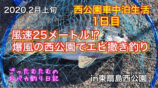 【東扇島西公園】風速25メートル⁉爆風の西公園でエビ撒き釣り【車中泊１日目】