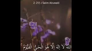 Story WA Lantunan Ayat Suci Al-Quran Bikin Sejuk Hati || WhatsApp Story