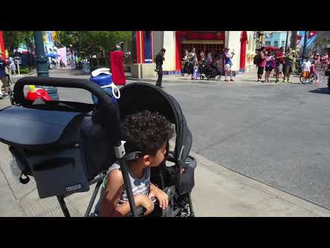 braving-disneyland-with-two-toddlers-and-the-life-saving-mo'unite-organizer