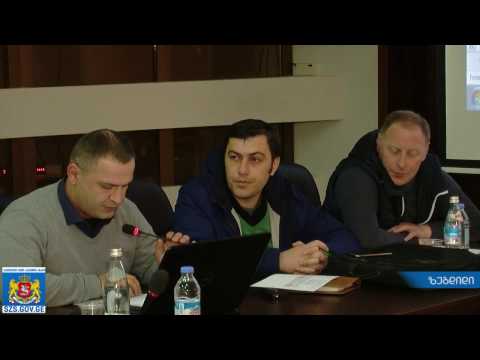 საკონსულტაციო საბჭოს სხდომა