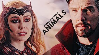 Wanda Maximoff & Stephen Strange Animals