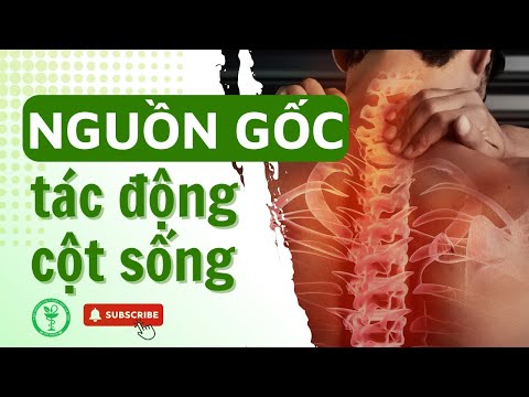 Nguồn gốc phương pháp Tác Động Cột Sống 