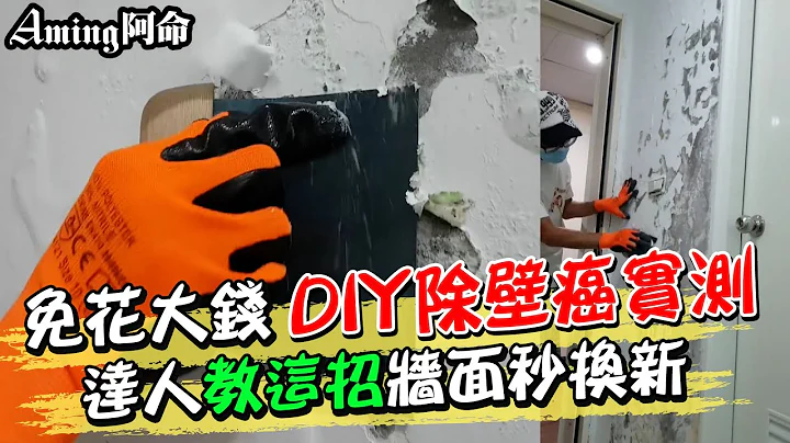 免花大钱"DIY除壁癌实测" 达人"教这招"墙面秒换新 | 天编推播@CtiNews - 天天要闻