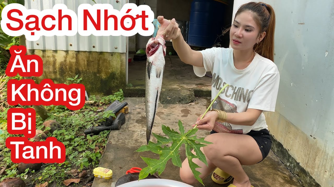 Hướng dẫn Cách nấu cháo cá lóc – Ăn Cá Lóc Không Còn Sợ Bị Tanh Nếu Bạn Biết Lấy Thứ Này Ra, Mẹo Làm Sạch Nhớt Cá Siêu Nhanh