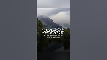  "اللَّهُ لَا إِلَٰهَ إِلَّا هُوَ الْحَيُّ الْقَيُّومُ"، آية الكرسي وهي الآية 255 من سورة البقرة