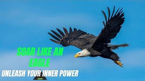 SUCCESS - SOAR LIKE AN EAGLE | Unleash Your Inner Power Eagles Motivational Video 💪
