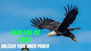 Success - Soar Like An Eagle Unleash Your Inner Power Eagles Motivational Video