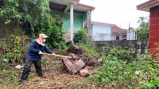 TOP 10 VIDEO Best Cleaning house Garden Transformation overgrown satisfied relaxation for many years