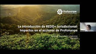 REDD+ en proyectos de Amazonía: Impactos en las acciones de Profonanpe