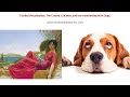 Cosmic Goddess and her relationship with Dogs. Healing Meditation.