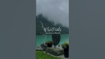 سورة الأحزاب(يَوْمَ تُقَلَّبُ وُجُوهُهُمْ فِي النَّارِ يَقُولُونَ يَا لَيْتَنَا أَطَعْنَا اللَّهَ)‏⁧