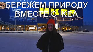 15 экологичных товаров из ИКЕА.