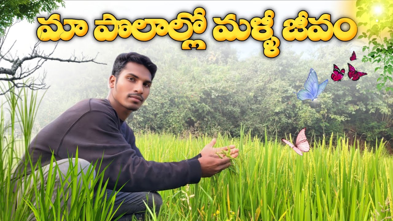 Life Returns to My Fields | మా పొలములో మళ్ళీ జీవము | In Telugu By Rishi's The World