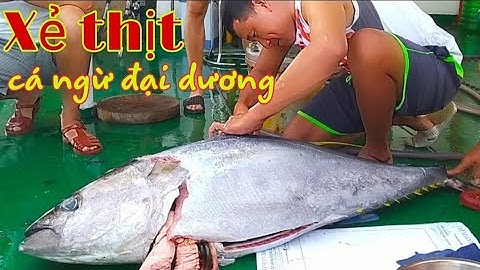 Cận cảnh xẻ thịt cá ngừ đại dương trên biển - tập 1|Duong Pham 24