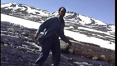 Varnrable - On / Off