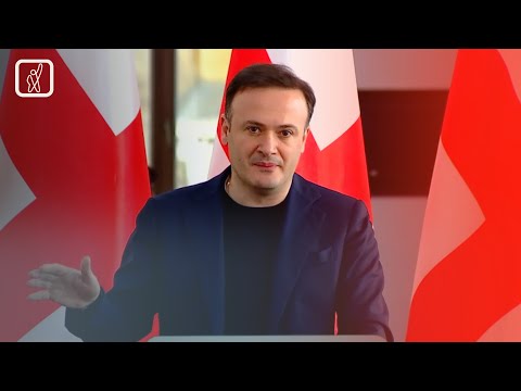 საქართველომ სტატუსი მიიღო — პოლიტიკური შეფასებები