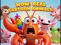 6 REAL Animals That Look Like Cartoons! 🦞🦔🐦🩷🐸🌸 | Amazing &amp; Funny Nature Adventure for Kids