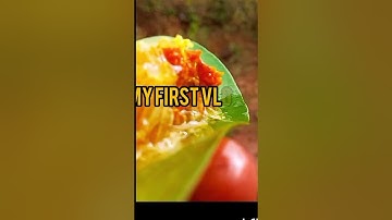 1 my first vlog😂🥰 subscribe #youtubeshorts #YouTubevlog#vlog#1 my first vlog