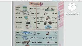 unit 2 connect plus grade 4 lesson 1,2 الوحدة التانيةالدرس ١،٢ كونكت بلس