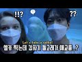 자기 얼굴을 처음 본 돌고래의 반응이? 한독 국제커플 아쿠아리움 데이트 | Aquarium | International Couple