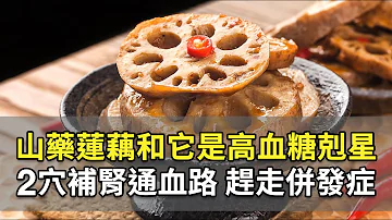 降血糖法寶 山藥蓮藕和1食物 有效降血糖 預防糖尿病 管住嘴巴是關鍵 少碰4食物 遠離併發症 運動有助穩血糖 但 這類運動 恐致低血糖危機 鄭秋霞 醫師 602 談古論今話中醫 中醫知識CooL 