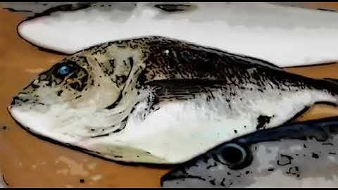 Codex and the food we eat (50th anniversary video)