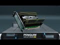 Introducing Penguin Solutions MemoryAI KV cache server (without subtitles)