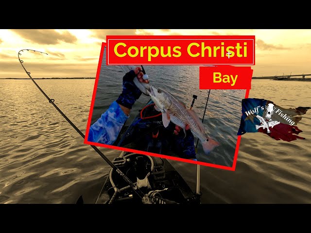 Corpus Christi Bay 