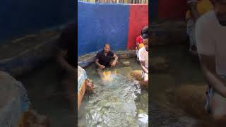 Was told this water is healing true or false? #short #foryou #foryourpage #jamaica #ochorios