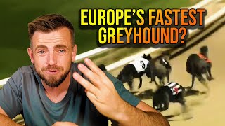 Download Lagu Betting on some of the BIGGEST NAMES in Greyhound Racing! MP3