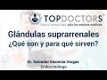 Glándulas suprarrenales - ¿Qué son y para qué sirven?