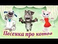 Песенка для детей про Котов развивающее видео