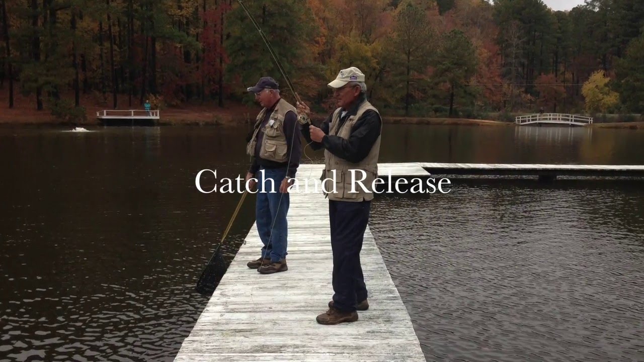Fly Fishing Clearwater Lake YouTube
