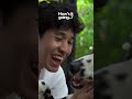 my dog