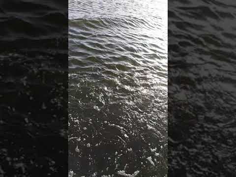 اجمل مقطع مصور للماء علي اغنيه عمرو دياب وماله لو ليله توهنا