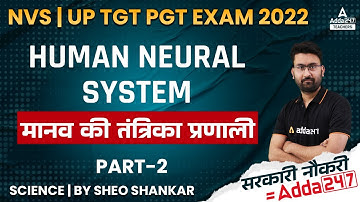 UP TGT PGT Science Classes 2022 | UP TGT PGT Science | Human Neural System #2