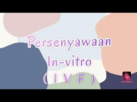 Video: Persenyawaan In-Vitro (IVF): Prosedur, Penyediaan & Risiko