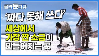 소금 광산에 울려퍼지는 망치 소리... 무려 '34.8%' 사해보다 높은 염도를 가진 소금 호수 ‘락 아살’의 노동자들┃아프리카 지부티 소금 카라반┃세계테마기행┃#골라듄다큐