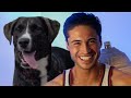 Dog Days | Episode 3 | Full Episode | Wild America Animal Channel