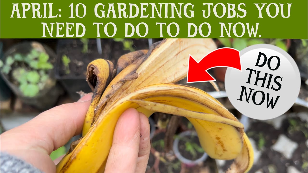 Top 10 gardening jobs I do in April